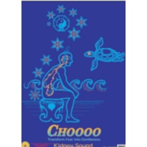 Poster Kidney Sound