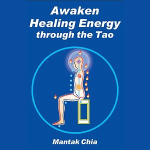 Awaken Healing Energy | Book