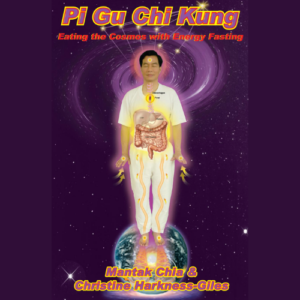 Pi Gu Chi Kung | Book